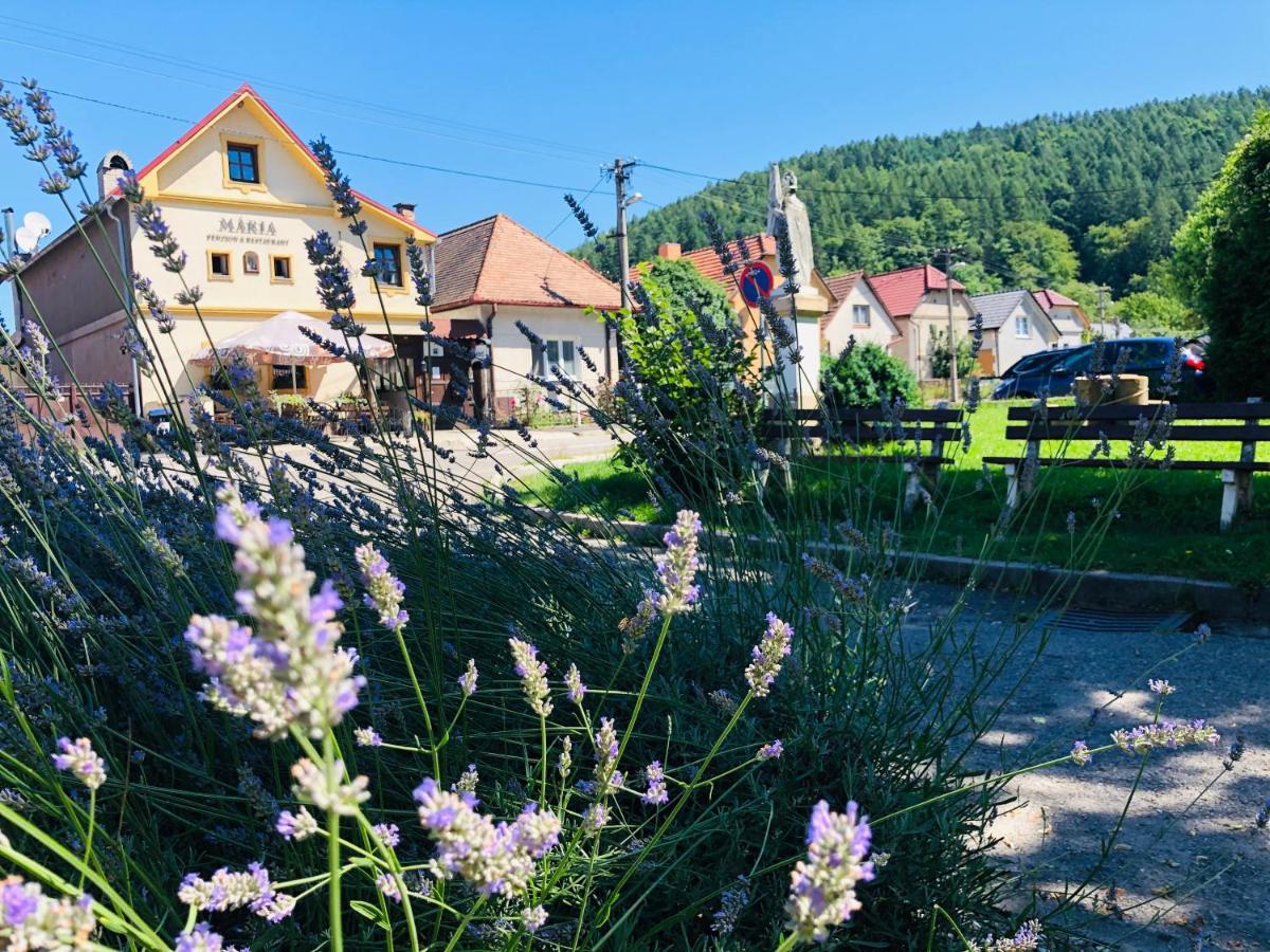 Maria Penzion & Restaurant Trenčín Exterior foto
